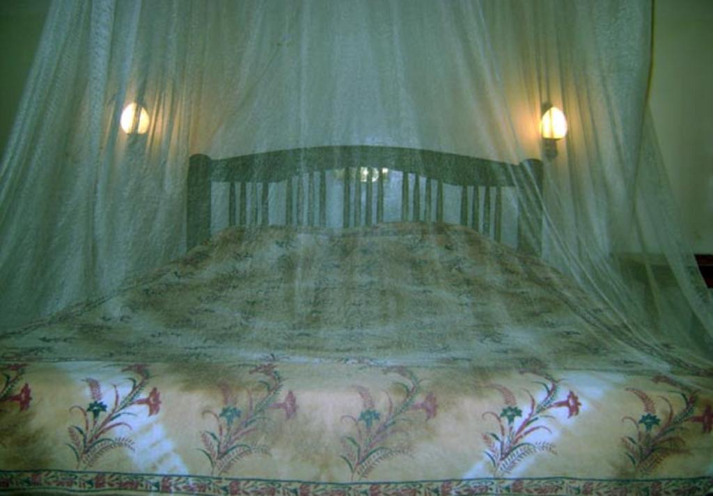 Palm Garden Home Stay Deiyannewela الغرفة الصورة