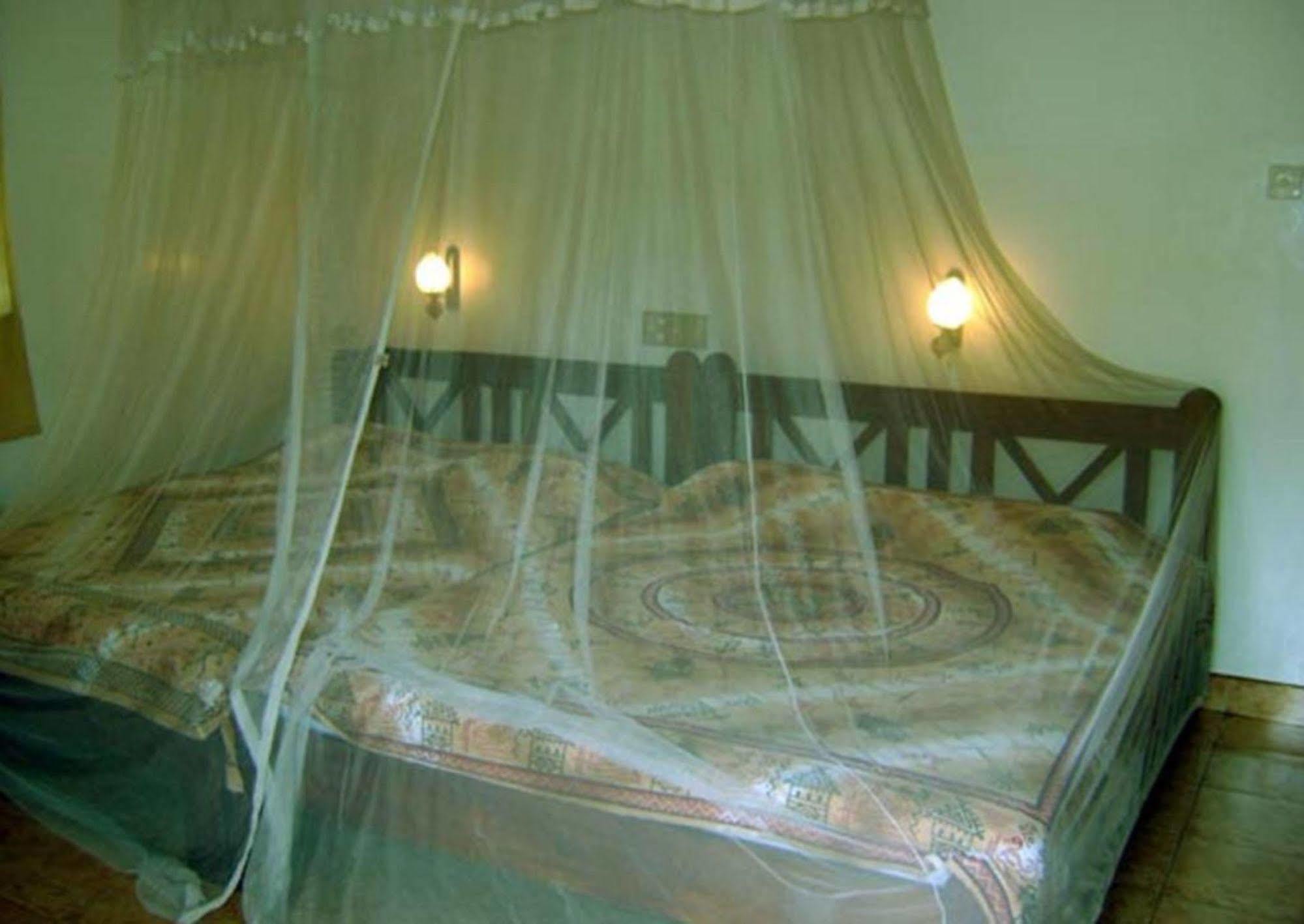 Palm Garden Home Stay Deiyannewela المظهر الخارجي الصورة